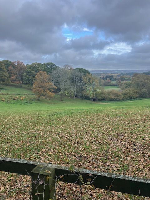 View from the Greensand Way